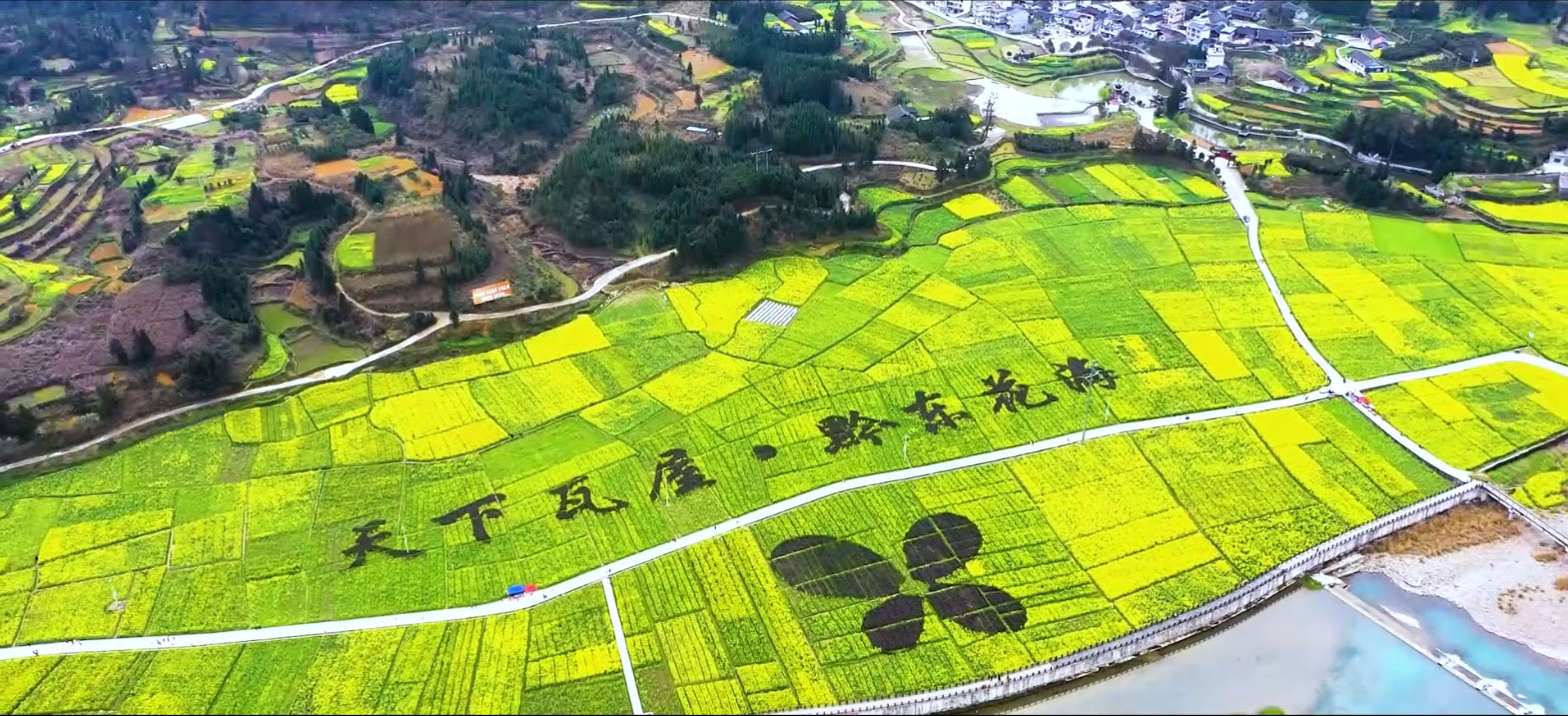 春來三月八·遍地美人花 博宇·百興“三八”節(jié)踏青活動